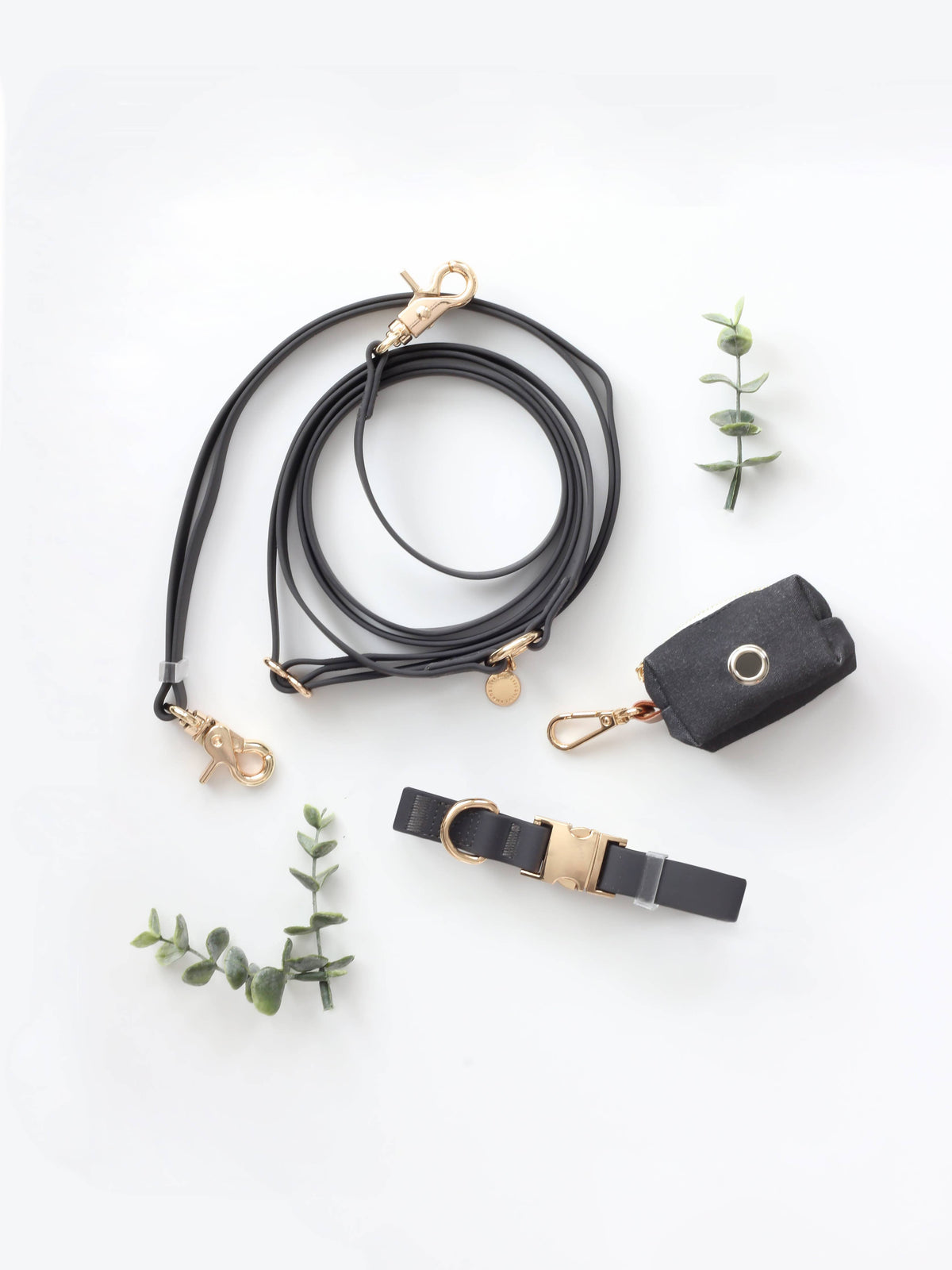 Handsfree Hundkoppel & Hundhalsband Bundle